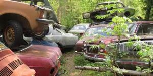 Auto Salvage Yards 11