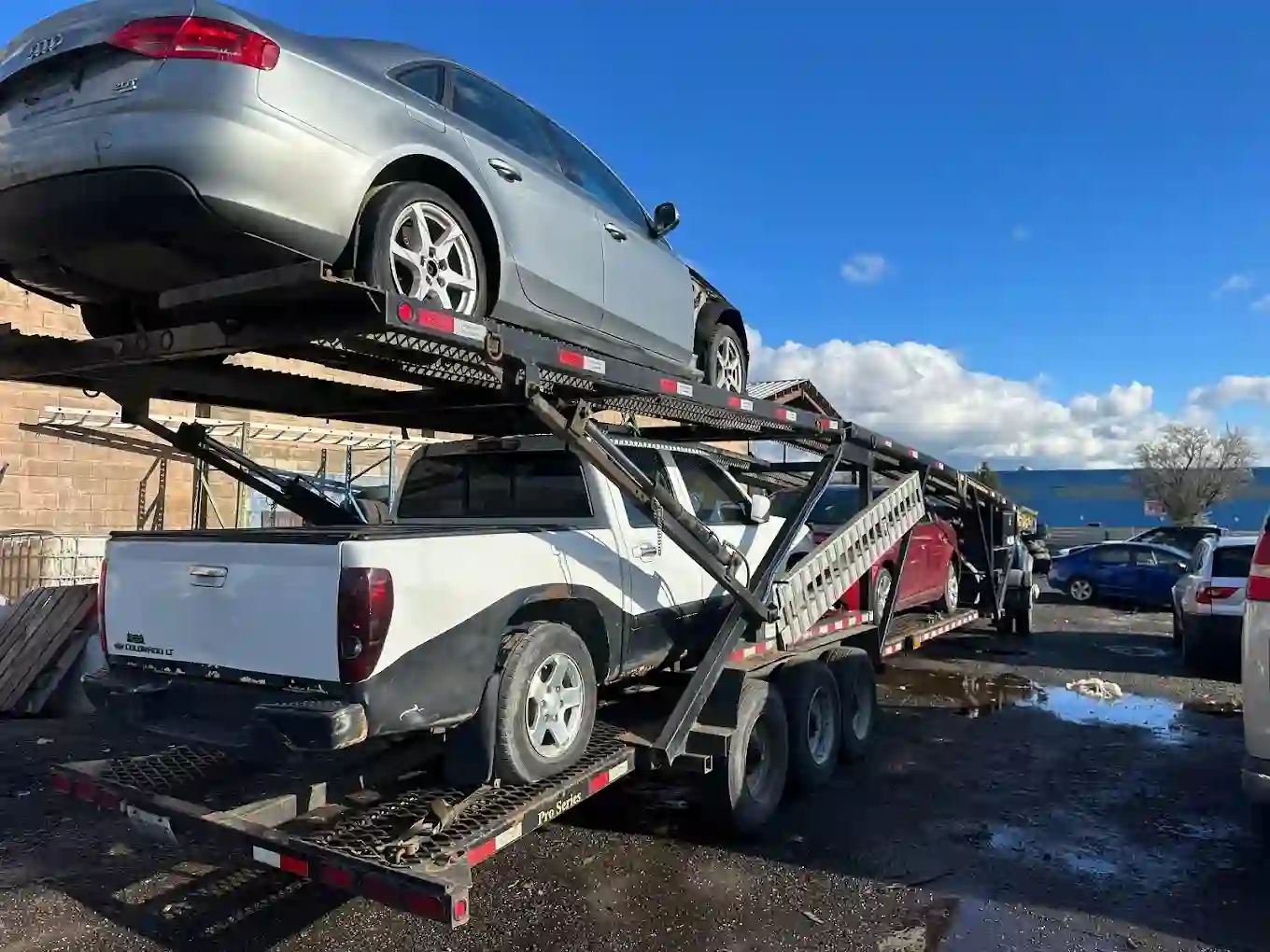 professional auto wrecking services in Hamilton